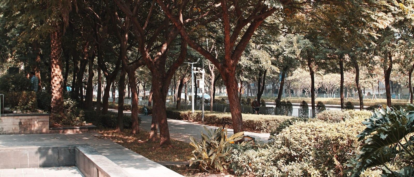 粤港澳大湾区